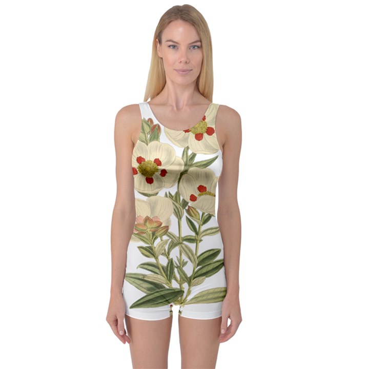 Nature-flower-leaf-plant-isolated One Piece Boyleg Swimsuit