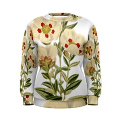 Nature-flower-leaf-plant-isolated Women s Sweatshirt