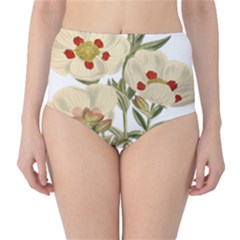 Nature-flower-leaf-plant-isolated Classic High-waist Bikini Bottoms by 99art