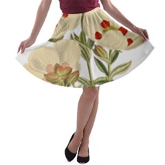 Nature-flower-leaf-plant-isolated A-line Skater Skirt by 99art