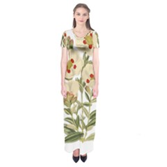 Nature-flower-leaf-plant-isolated Short Sleeve Maxi Dress by 99art