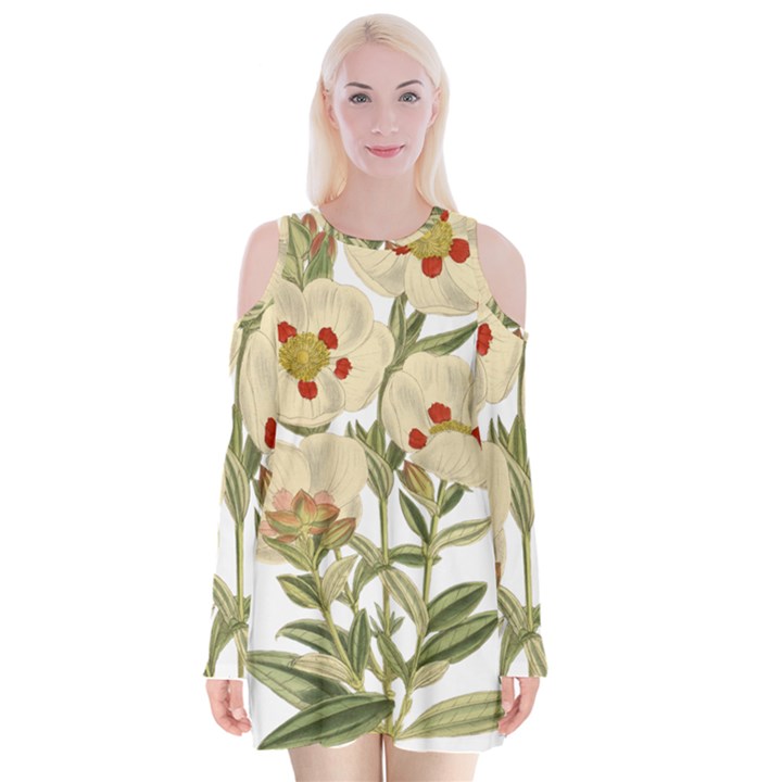 Nature-flower-leaf-plant-isolated Velvet Long Sleeve Shoulder Cutout Dress