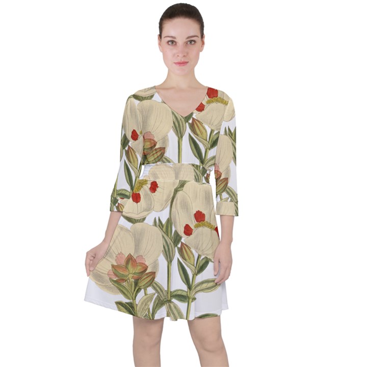 Nature-flower-leaf-plant-isolated Quarter Sleeve Ruffle Waist Dress