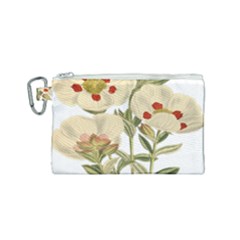 Nature-flower-leaf-plant-isolated Canvas Cosmetic Bag (small) by 99art