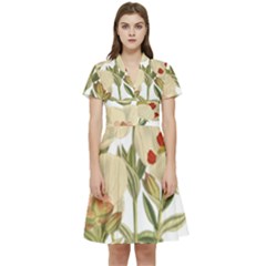 Nature-flower-leaf-plant-isolated Short Sleeve Waist Detail Dress by 99art