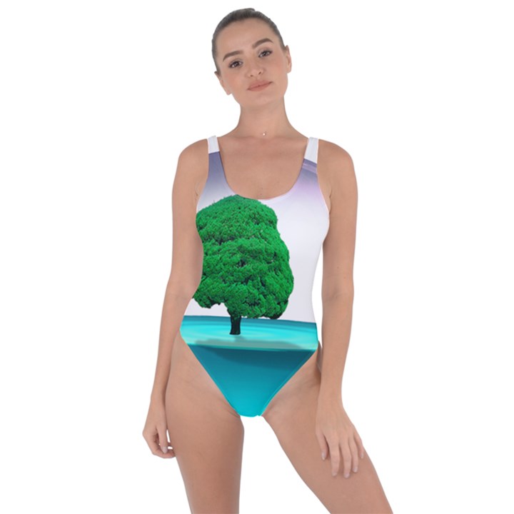 Crystal-ball-sphere-cartoon Color Background Bring Sexy Back Swimsuit