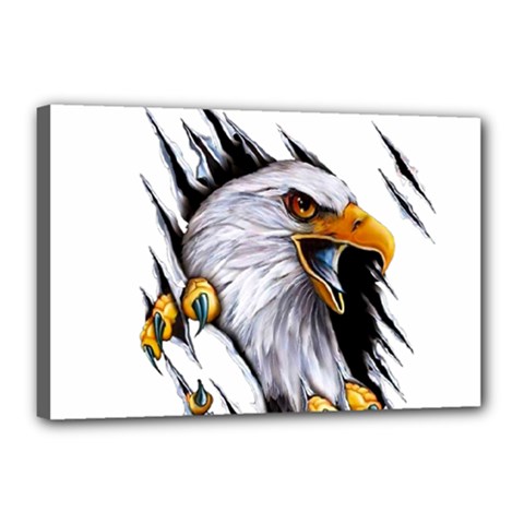 Eagle Canvas 18  X 12  (stretched) by 99art