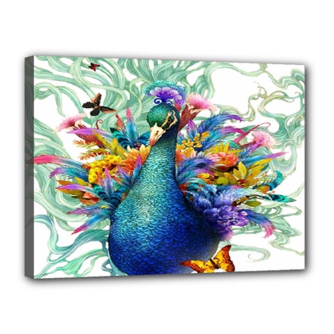 Bird-peafowl-painting-drawing-feather-birds Canvas 16  X 12  (stretched) by 99art