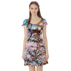 Nature Beautiful Rainbow Short Sleeve Skater Dress by artworkshop