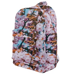 Nature Beautiful Rainbow Classic Backpack