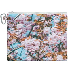 Nature Beautiful Rainbow Canvas Cosmetic Bag (xxxl)