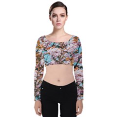 Nature Beautiful Rainbow Velvet Long Sleeve Crop Top