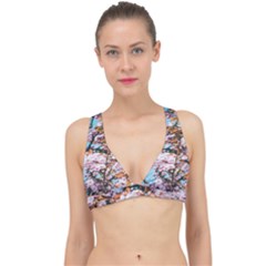 Nature Beautiful Rainbow Classic Banded Bikini Top by artworkshop