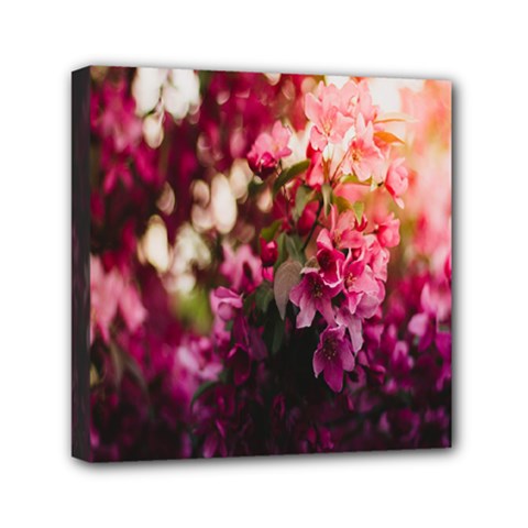 Pink Flower Mini Canvas 6  x 6  (Stretched)