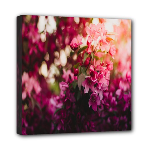 Pink Flower Mini Canvas 8  x 8  (Stretched)