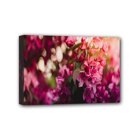 Pink Flower Mini Canvas 6  x 4  (Stretched)