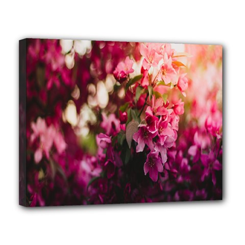 Pink Flower Canvas 14  x 11  (Stretched)