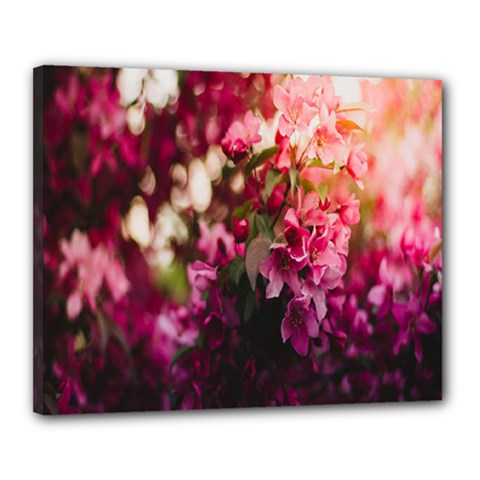 Pink Flower Canvas 20  x 16  (Stretched)