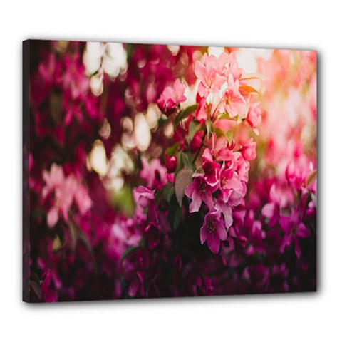 Pink Flower Canvas 24  x 20  (Stretched)