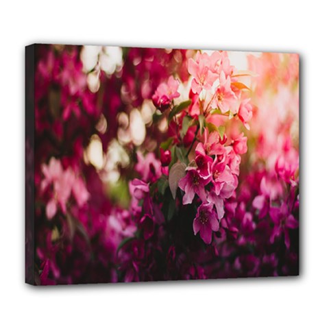 Pink Flower Deluxe Canvas 24  x 20  (Stretched)