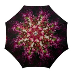 Pink Flower Golf Umbrellas