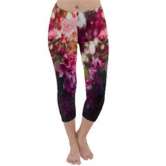 Pink Flower Capri Winter Leggings 