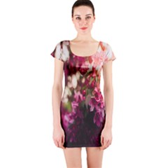 Pink Flower Short Sleeve Bodycon Dress by artworkshop