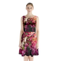 Pink Flower Sleeveless Waist Tie Chiffon Dress