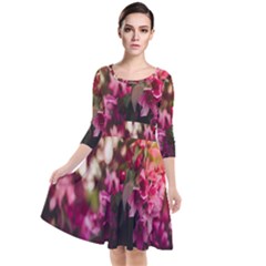 Pink Flower Quarter Sleeve Waist Band Dress