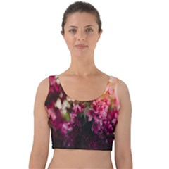 Pink Flower Velvet Crop Top