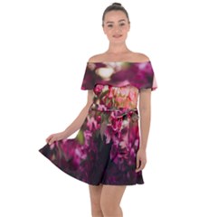 Pink Flower Off Shoulder Velour Dress