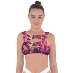 Pink Flower Bandaged Up Bikini Top