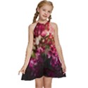 Pink Flower Kids  Halter Collar Waist Tie Chiffon Dress View1