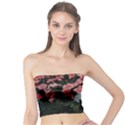 Pink Peony  Flower Tube Top View1