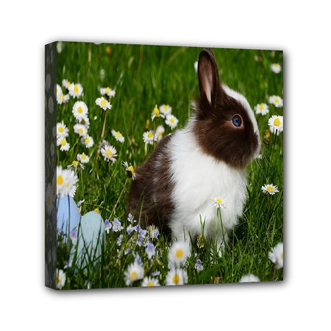 Rabbit Mini Canvas 6  X 6  (stretched) by artworkshop