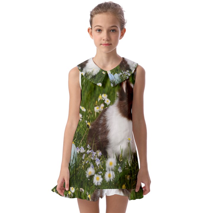 Rabbit Kids  Pilgrim Collar Ruffle Hem Dress