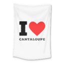 I love cantaloupe  Small Tapestry View1