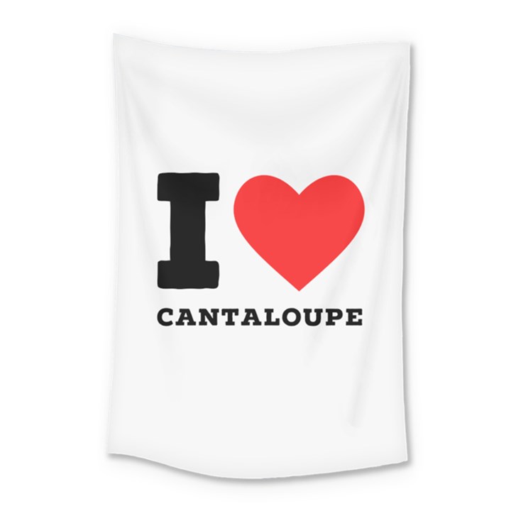 I love cantaloupe  Small Tapestry