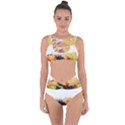 Variety Of Fruit Water Berry Food Splash Kiwi Grape Bandaged Up Bikini Set  View1