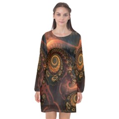 Paisley Abstract Fabric Pattern Floral Art Design Flower Long Sleeve Chiffon Shift Dress  by danenraven