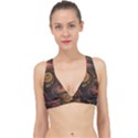 Paisley Abstract Fabric Pattern Floral Art Design Flower Classic Banded Bikini Top View1