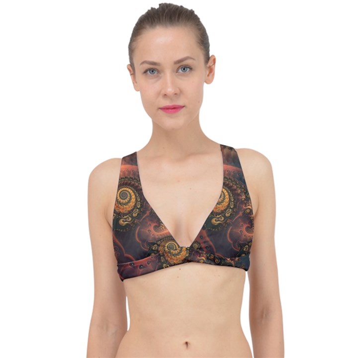 Paisley Abstract Fabric Pattern Floral Art Design Flower Classic Banded Bikini Top