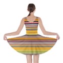 Neopolitan Horizontal Lines Strokes Skater Dress View2