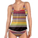 Neopolitan Horizontal Lines Strokes Tankini Set View1