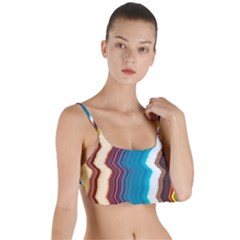 Line Vertical Lines Color Lines Layered Top Bikini Top 