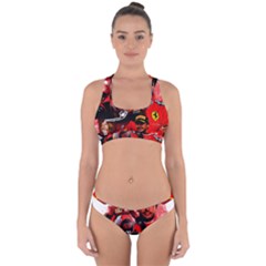 Carlos Sainz Cross Back Hipster Bikini Set