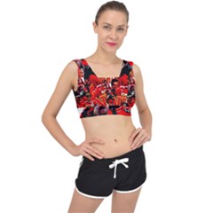 Carlos Sainz V-back Sports Bra