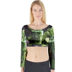 Drink Spinach Smooth Apple Ginger Long Sleeve Crop Top by Ndabl3x