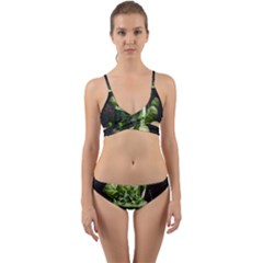 Drink Spinach Smooth Apple Ginger Wrap Around Bikini Set by Ndabl3x