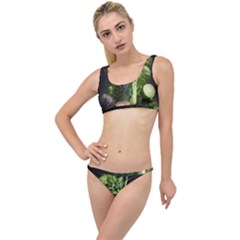 Drink Spinach Smooth Apple Ginger The Little Details Bikini Set by Ndabl3x